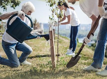 Voluntariado Sénior