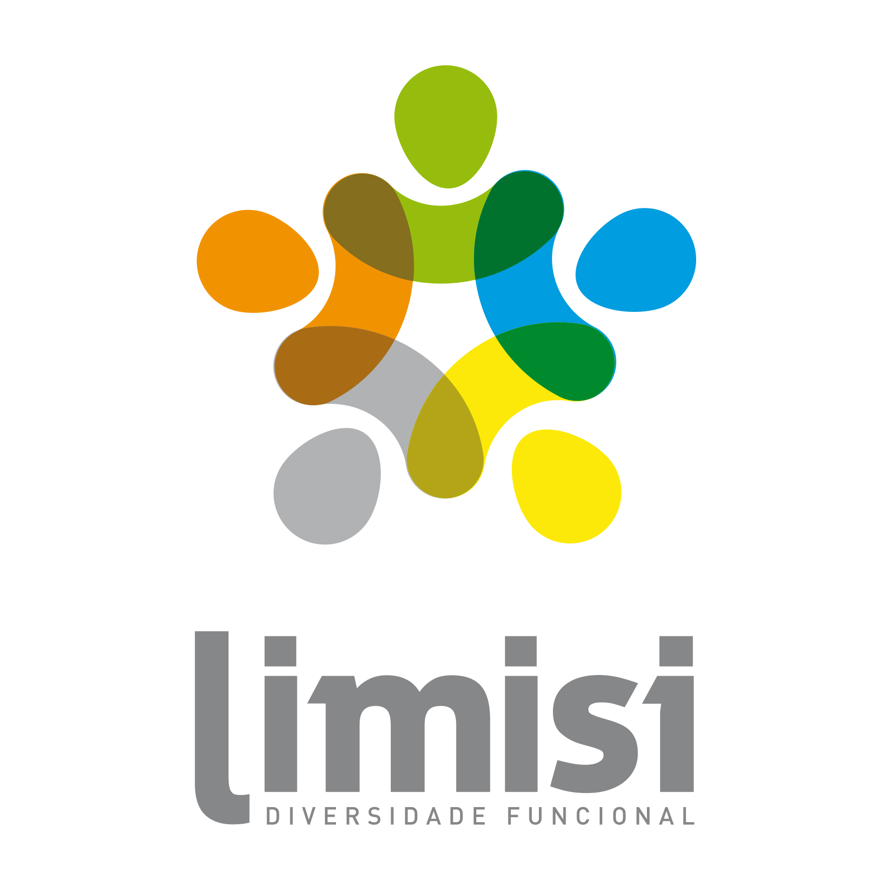 ASOCIACION LIMISI, para a promoción das persoas con diversidade funcional da comarca de A Limia