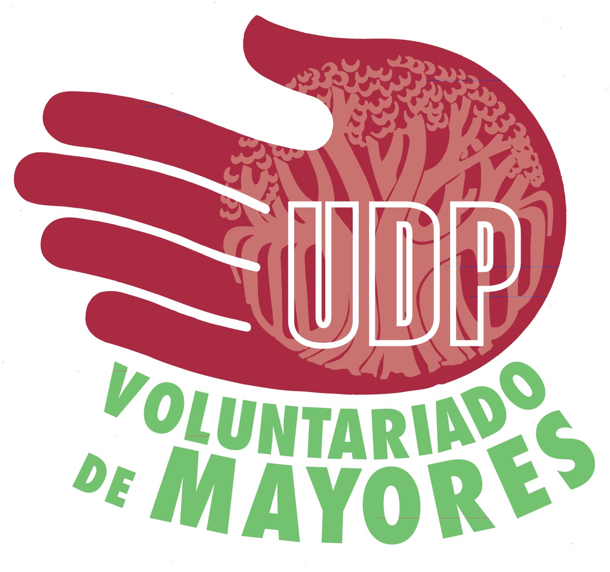 UNION DE ASOCIACIONS PROVINCIAIS, UDP DE LUGO