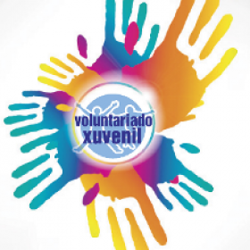 CÓNTANOS O TEU PROXECTO DE VOLUNTARIADO XUVENIL 2014