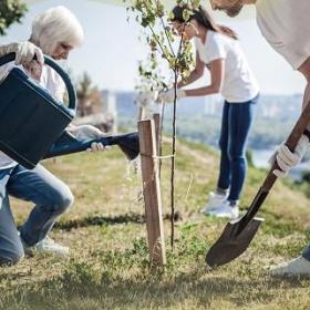 Voluntariado Sénior